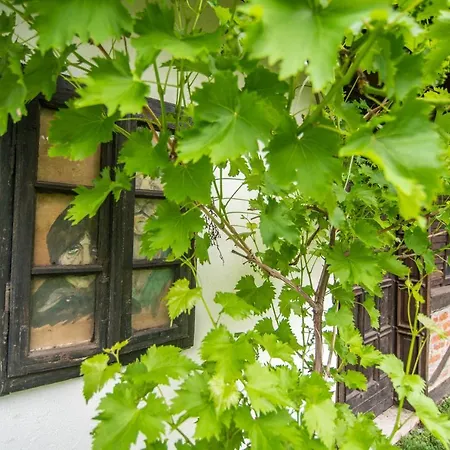 Morava * Vrnjačka Banja