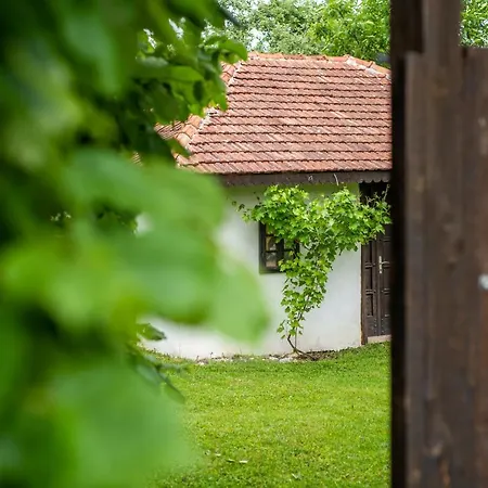Lodge Morava *